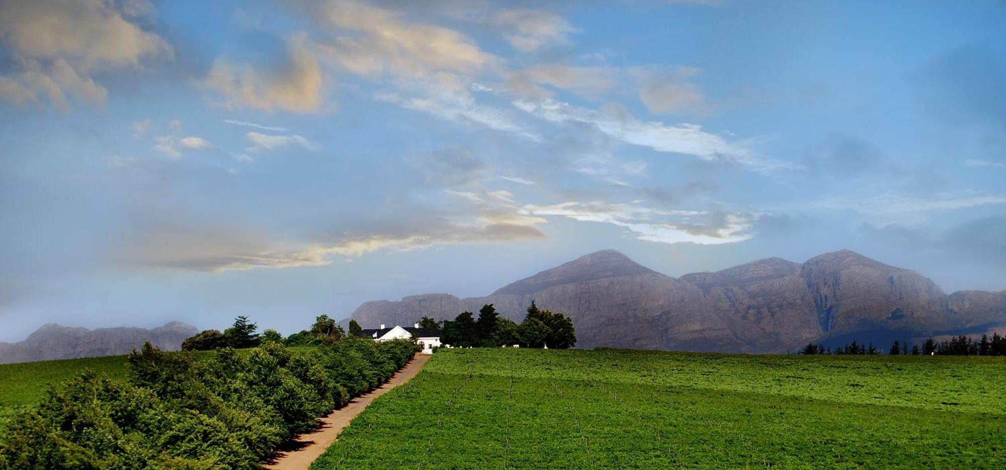 Bakenhof Winelands Lodge Paarl Dış mekan fotoğraf