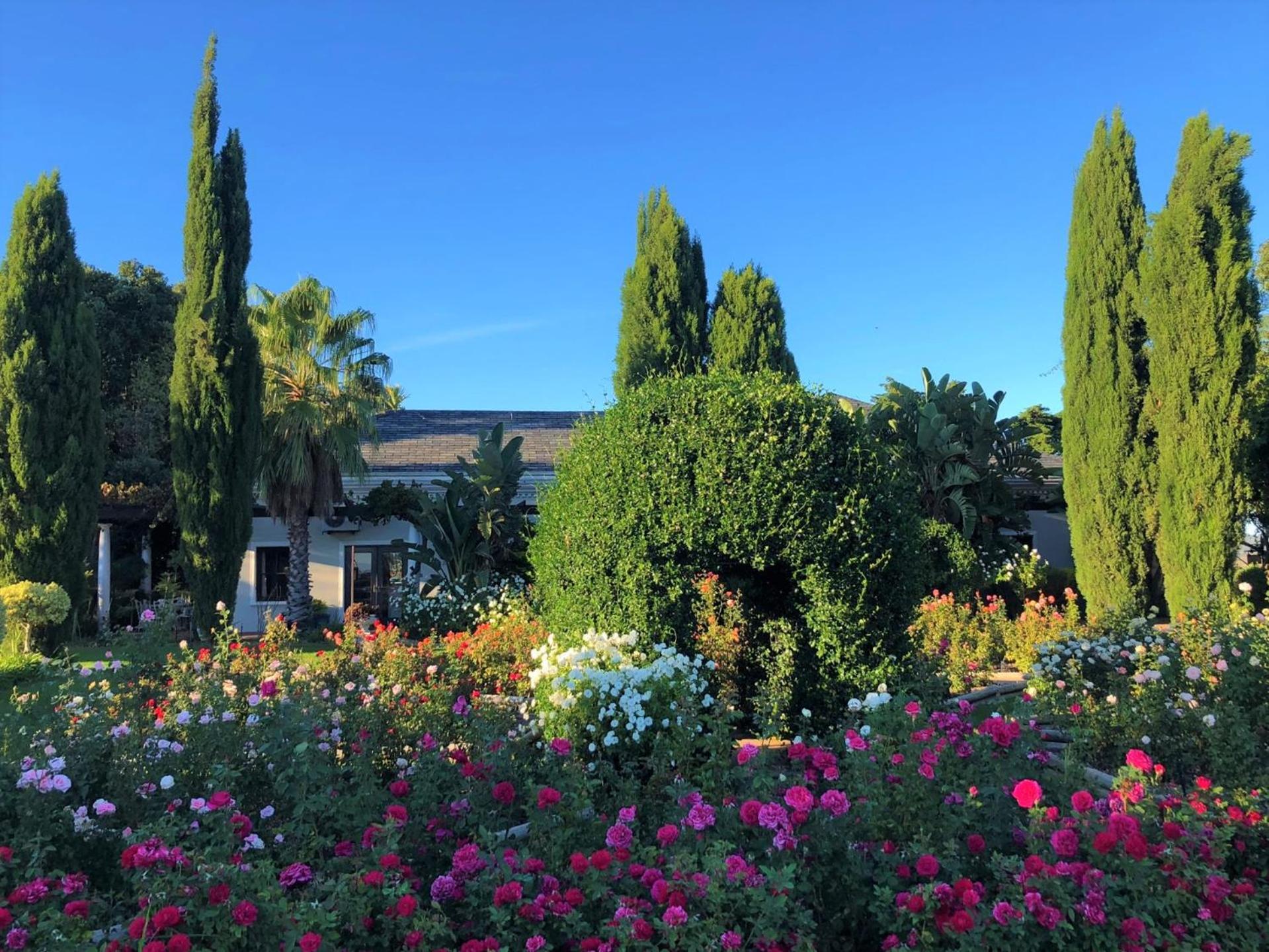 Bakenhof Winelands Lodge Paarl Dış mekan fotoğraf
