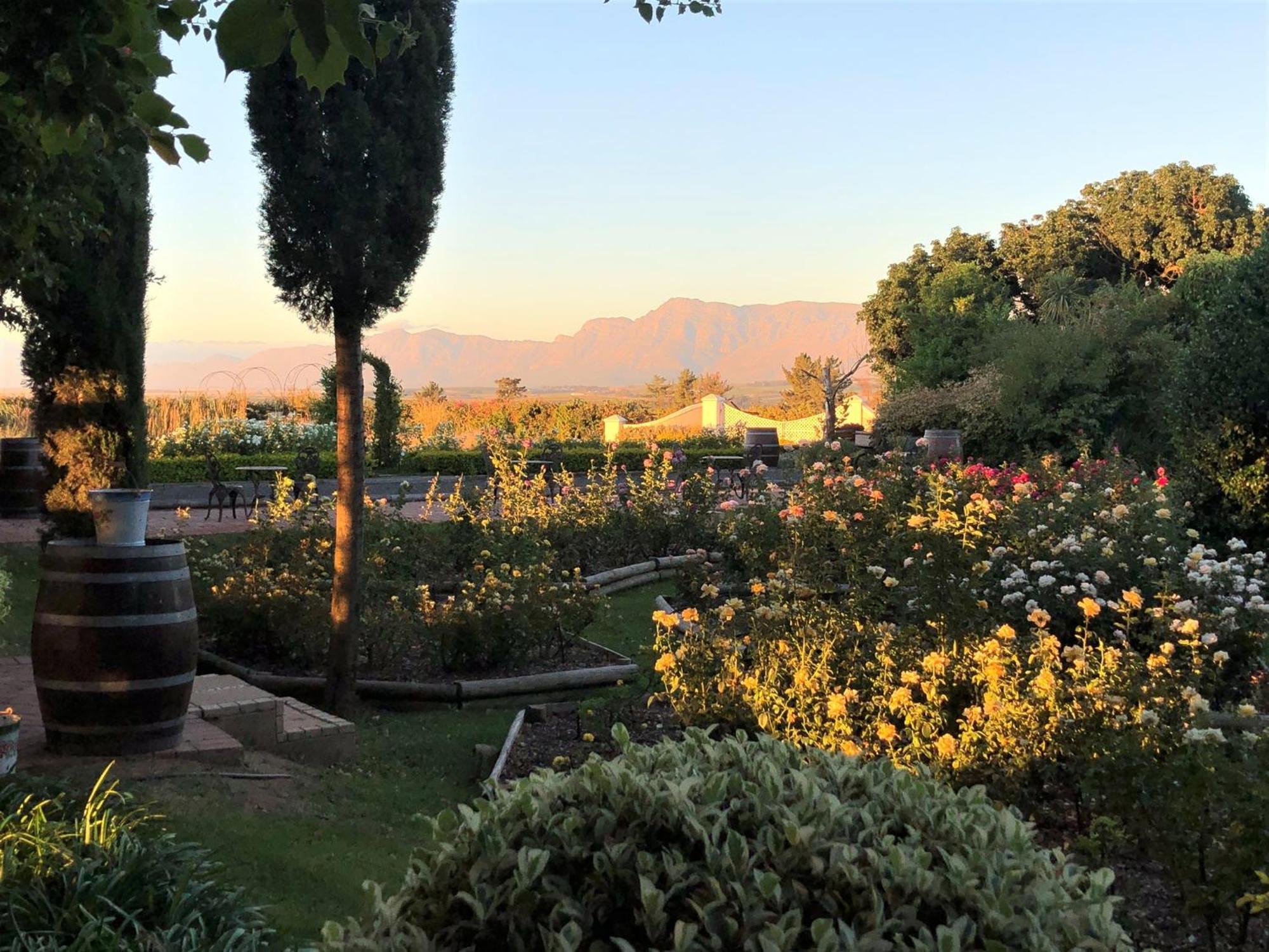 Bakenhof Winelands Lodge Paarl Dış mekan fotoğraf