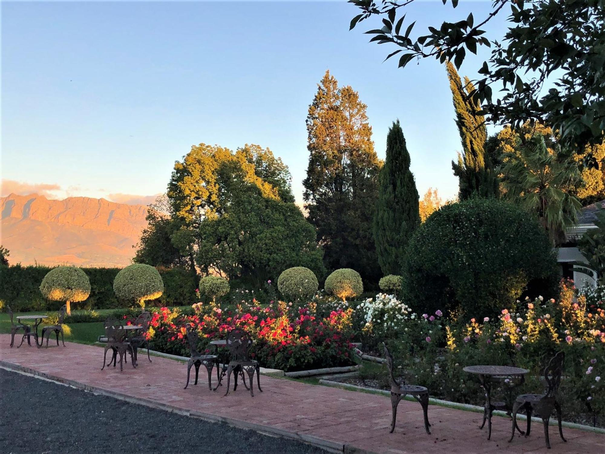 Bakenhof Winelands Lodge Paarl Dış mekan fotoğraf
